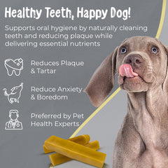 Makalu Yak Chews for XXL Dogs (85+ lb.) – Tough, Healthy Treats for Aggressive Chewers - Makalu Dog Chews