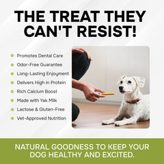 Makalu Chew Stick– Natural Yak Cheese Treat - Makalu Dog Chews