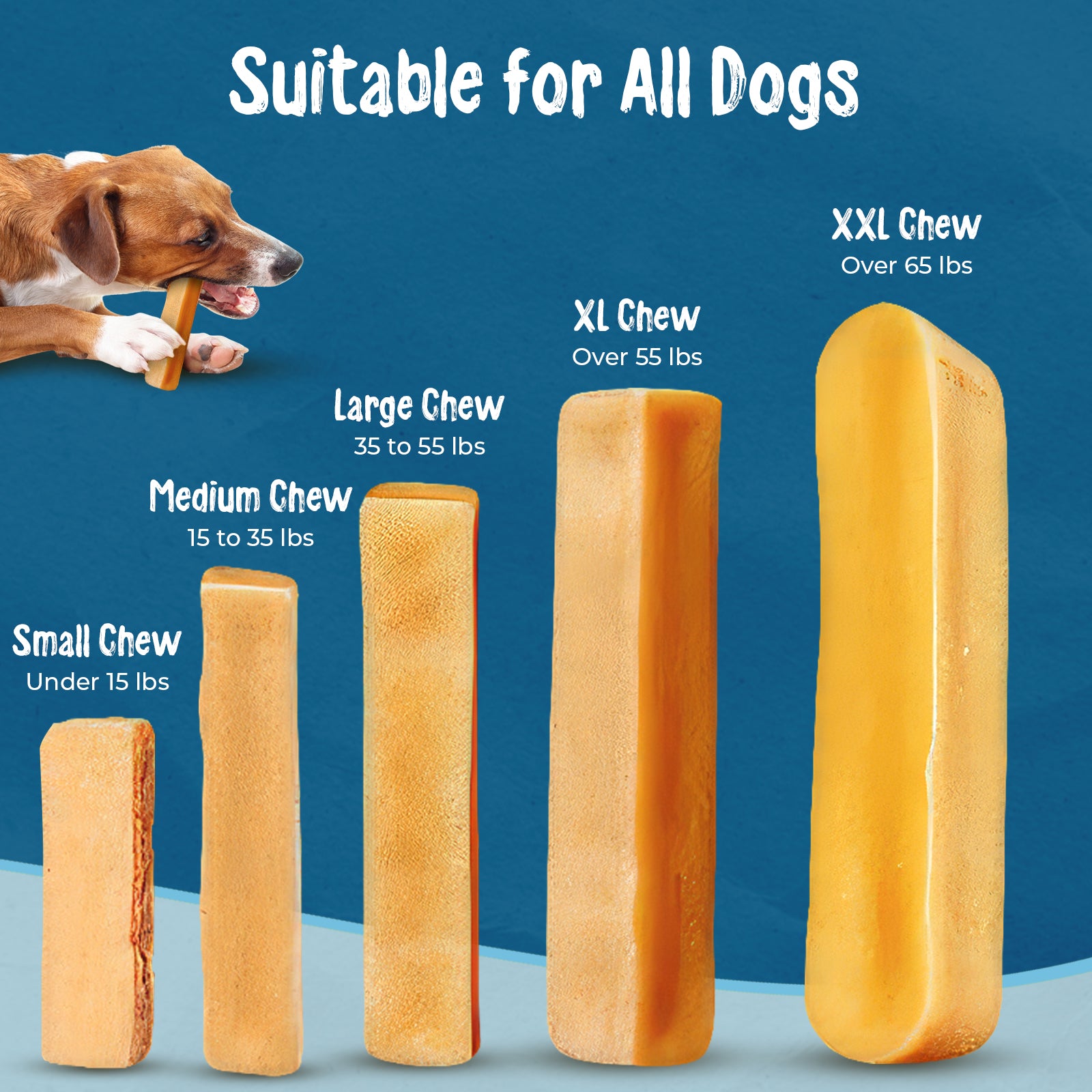 All-Natural Yak Cheese Dog Chews for Large Dogs – Long-Lasting & Healthy - Makalu Dog Chews